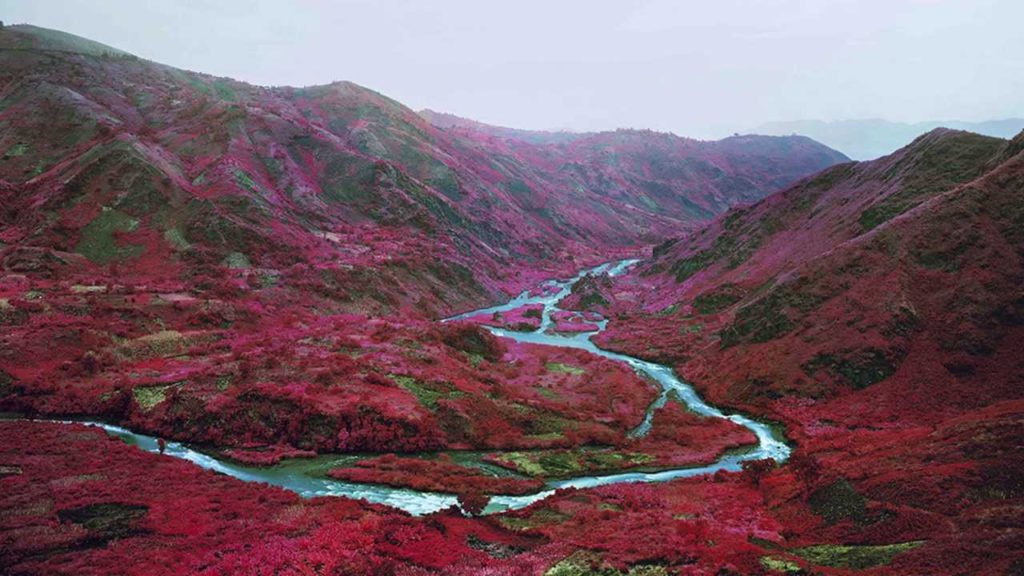 Zinnen uit de kunst / Art Rotterdam