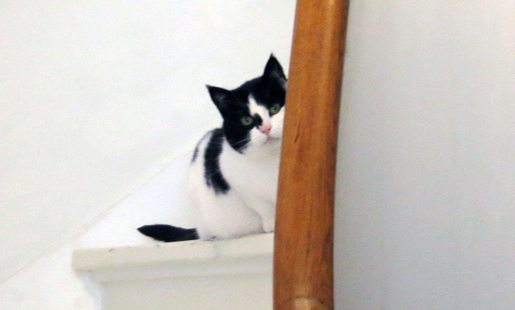 Beetje Berlijn in Den Haag