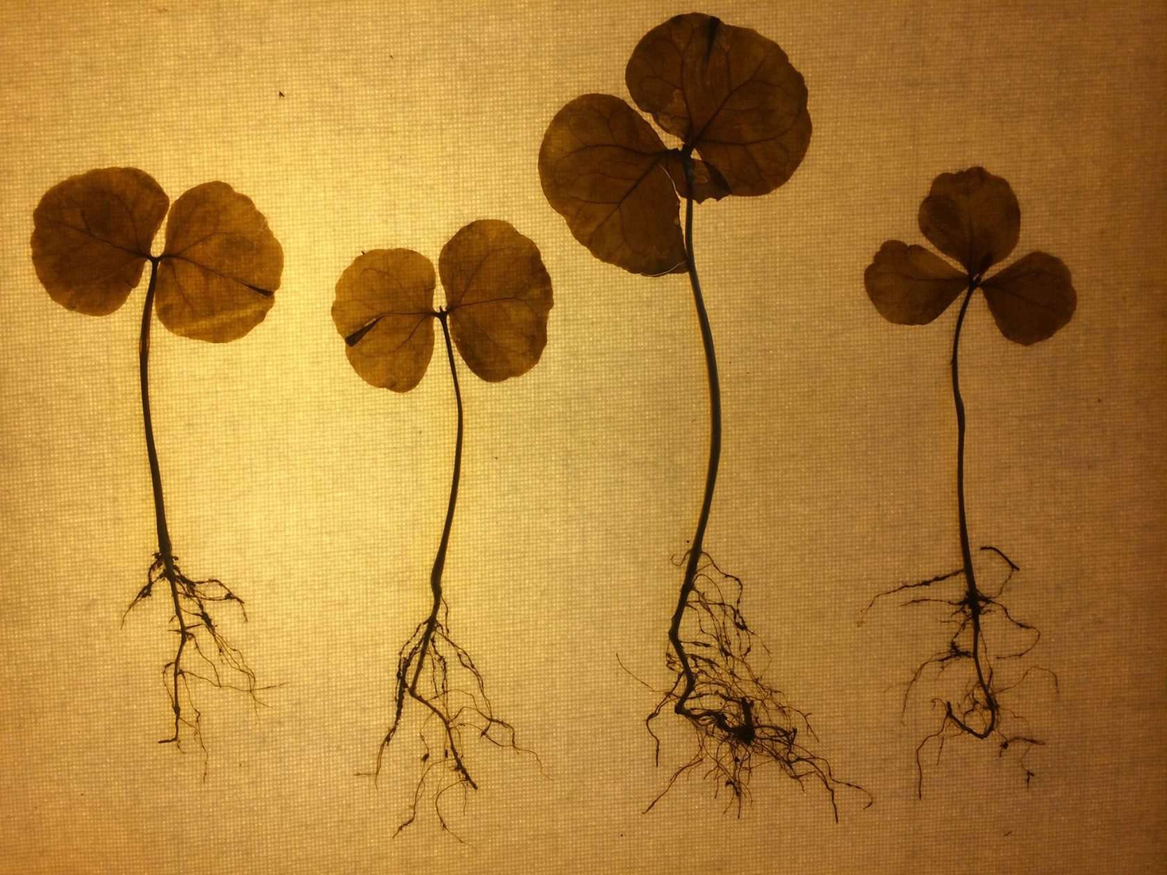 Designhoppen in het Zeeheldenkwartier