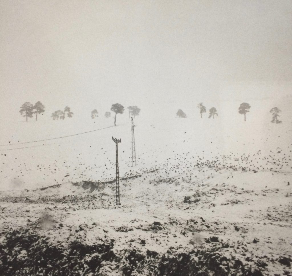 Speurtocht @ This Art Fair