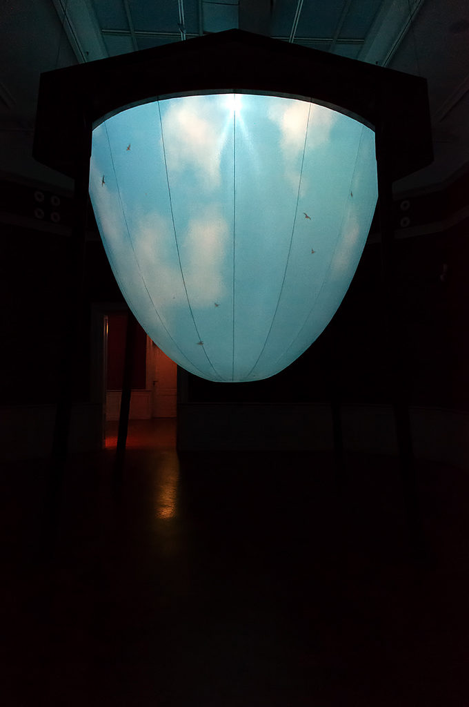 Het leven van een meeuw in Panorama Mesdag