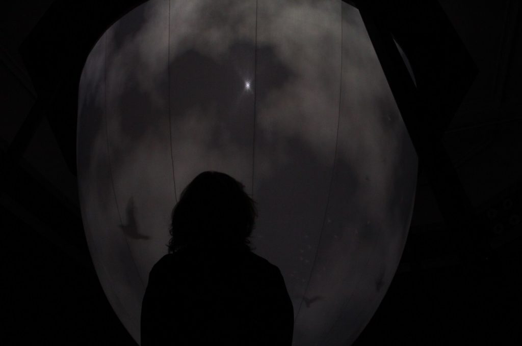 Het leven van een meeuw in Panorama Mesdag