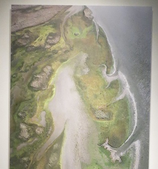 Het leven van een meeuw in Panorama Mesdag