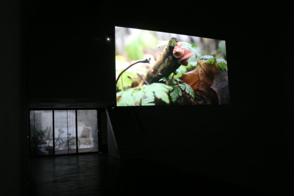 Invest Week Interview #8: Sissel Marie Tonn