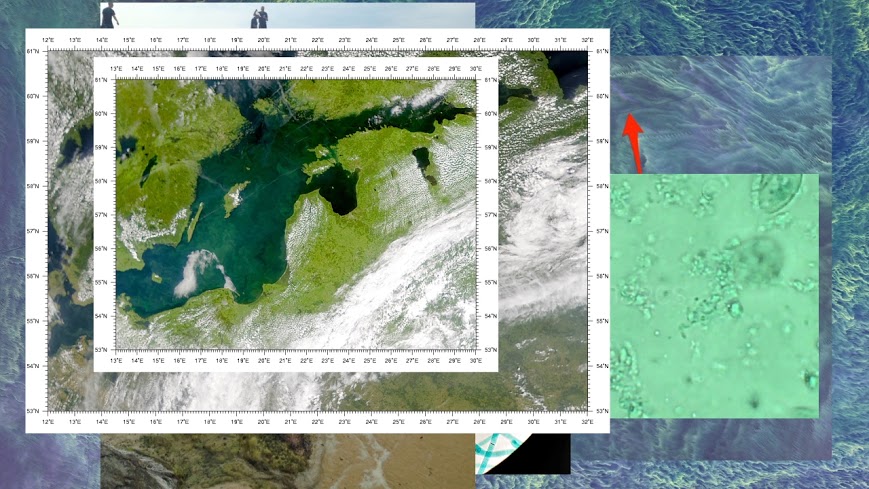 Invest Week Interview #15 Valentinas Klimašauskas