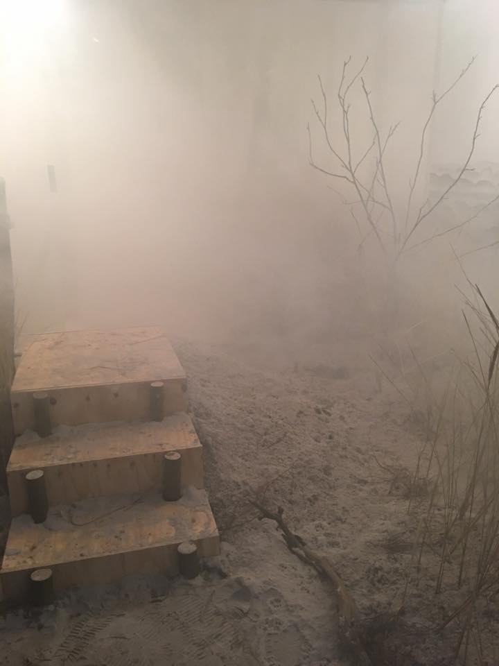 Restricted View at Galerie Lutz