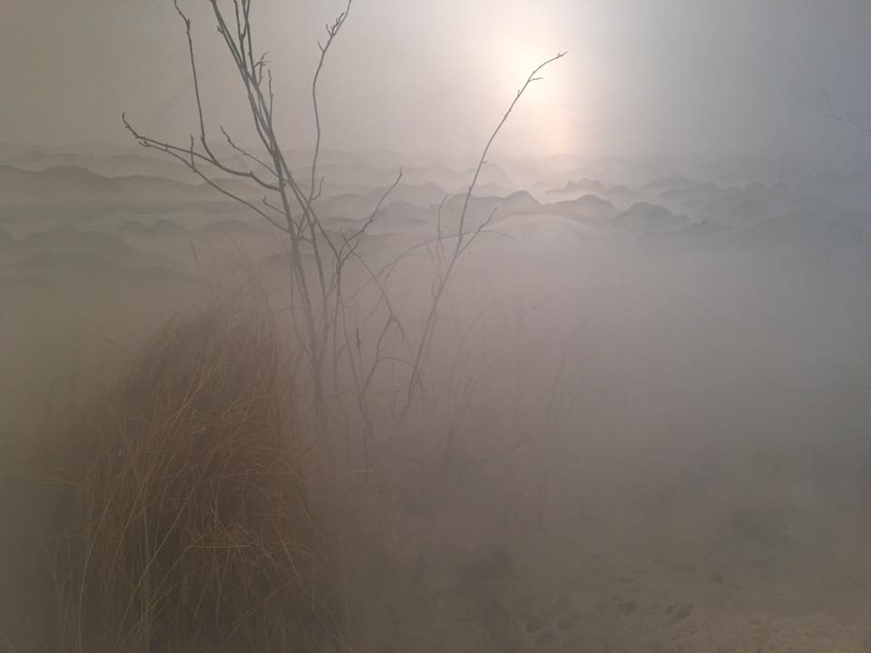 Restricted View at Galerie Lutz