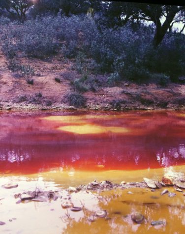 Zin uit de kunst  + Tip / Fotomuseum Den Haag