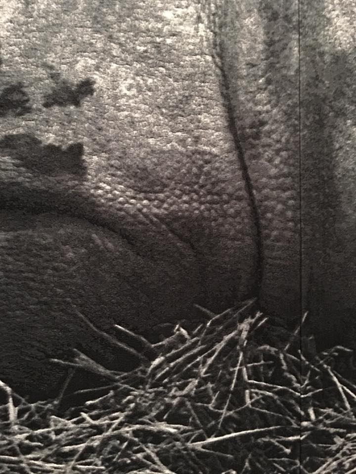 Craigie Horsefield / How the world occurs