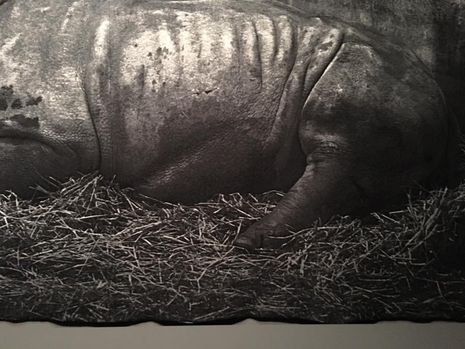 Craigie Horsefield / How the world occurs