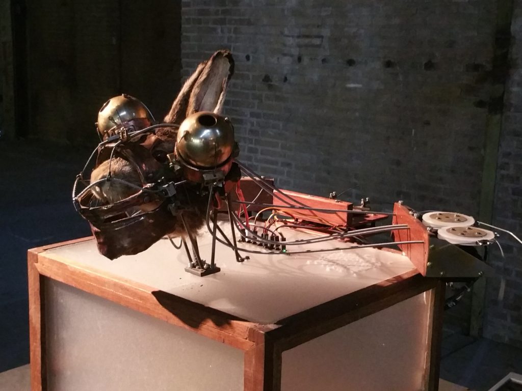 Zwanikkenfabriek: Een mechanisch lustoord voor alle zintuigen