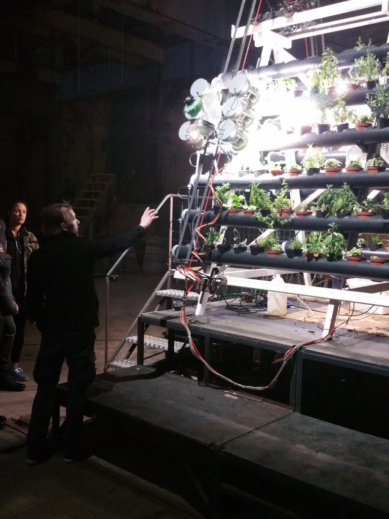 Zwanikkenfabriek: Een mechanisch lustoord voor alle zintuigen