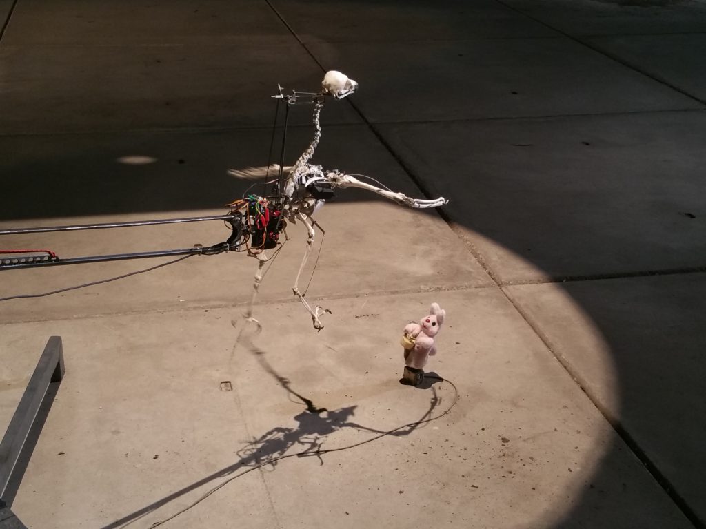 Zwanikkenfabriek: Een mechanisch lustoord voor alle zintuigen