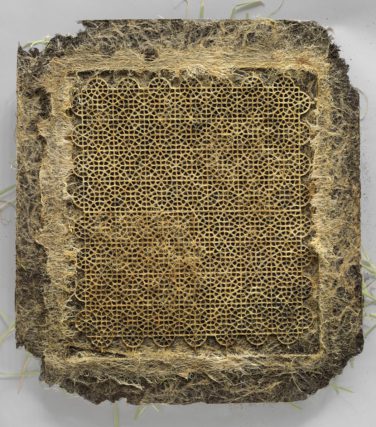 Van gemanipuleerde wortelkluit tot jurk?