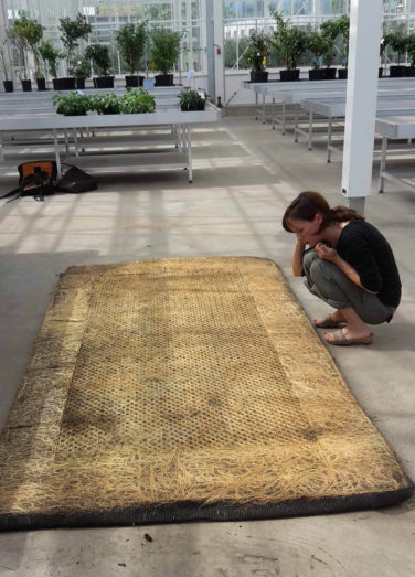 Van gemanipuleerde wortelkluit tot jurk?