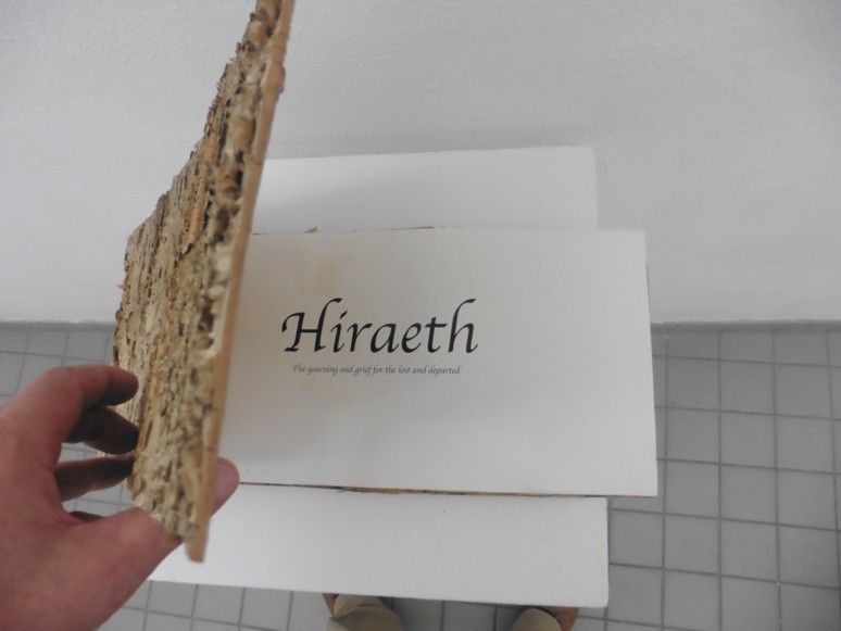 Apprentice Master Project # 14: Tell my mother I’m coming home, I’ve been destroyed by hippy powers