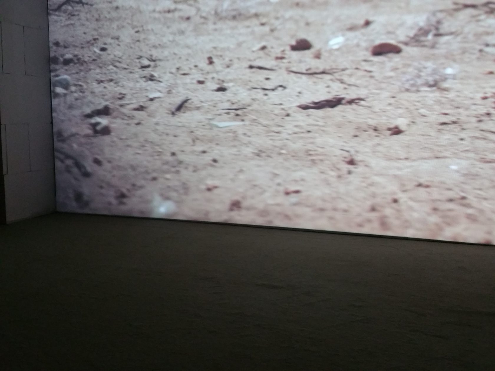 West Arcade #1: Jesper Just