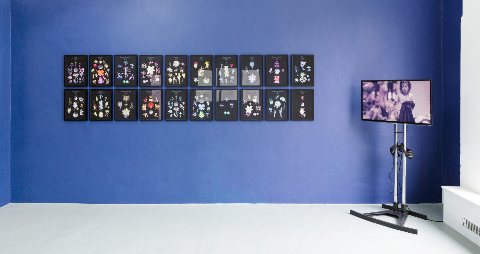 Stroom Invest Interviews / Curator #5 Edward Gillman