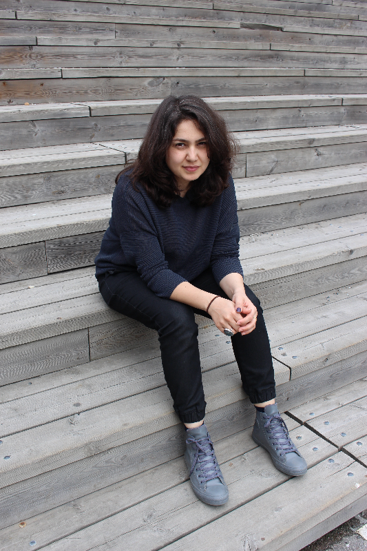 Stroom Invest Interviews / Curator #9 Azar Mahmoudian