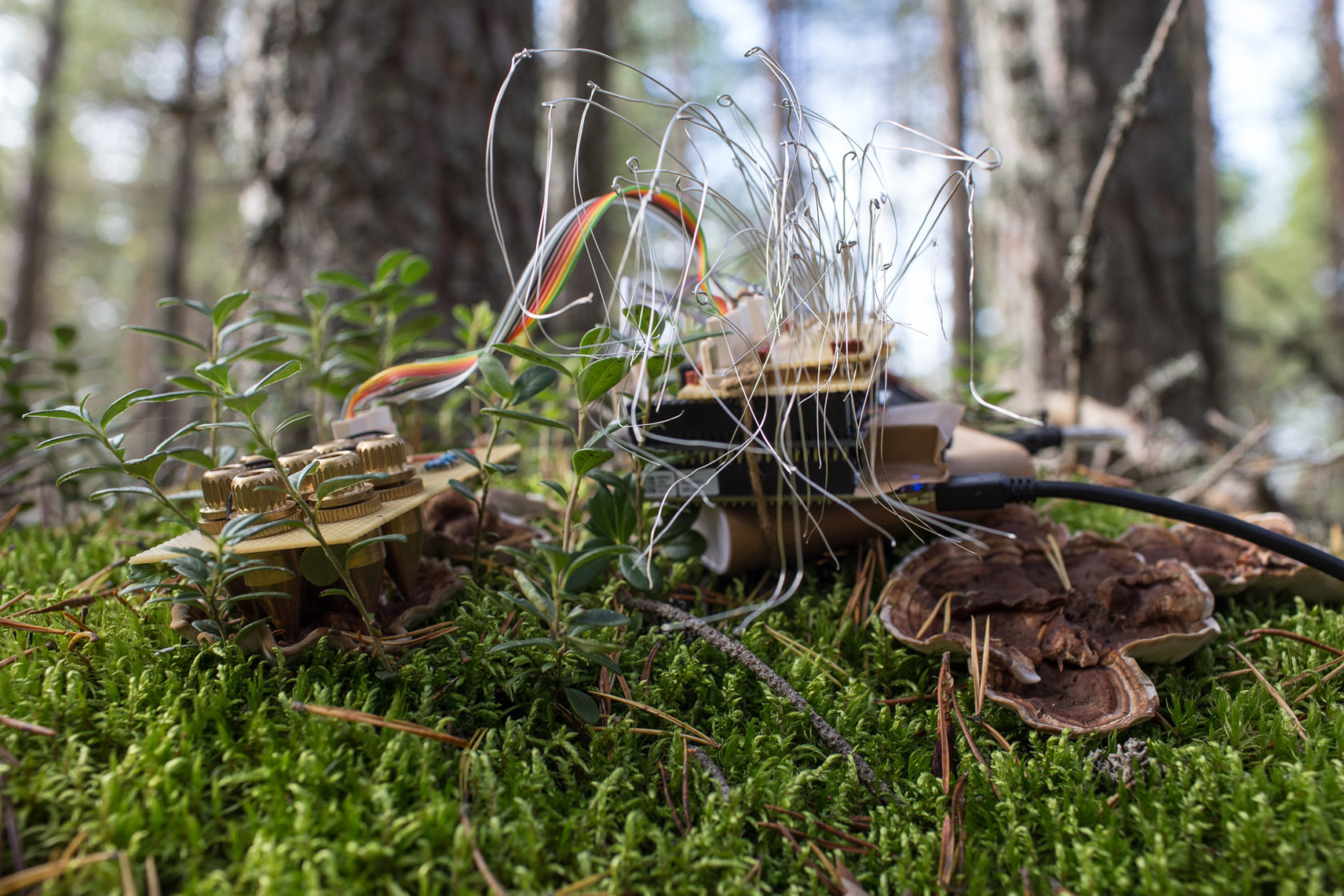 iii Residency // Till Bovermann Interview