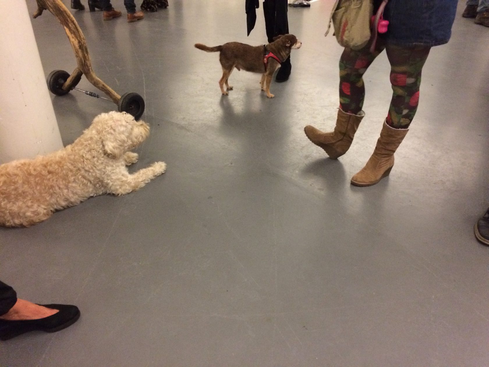 Art for Animals’ Sake Amsterdam