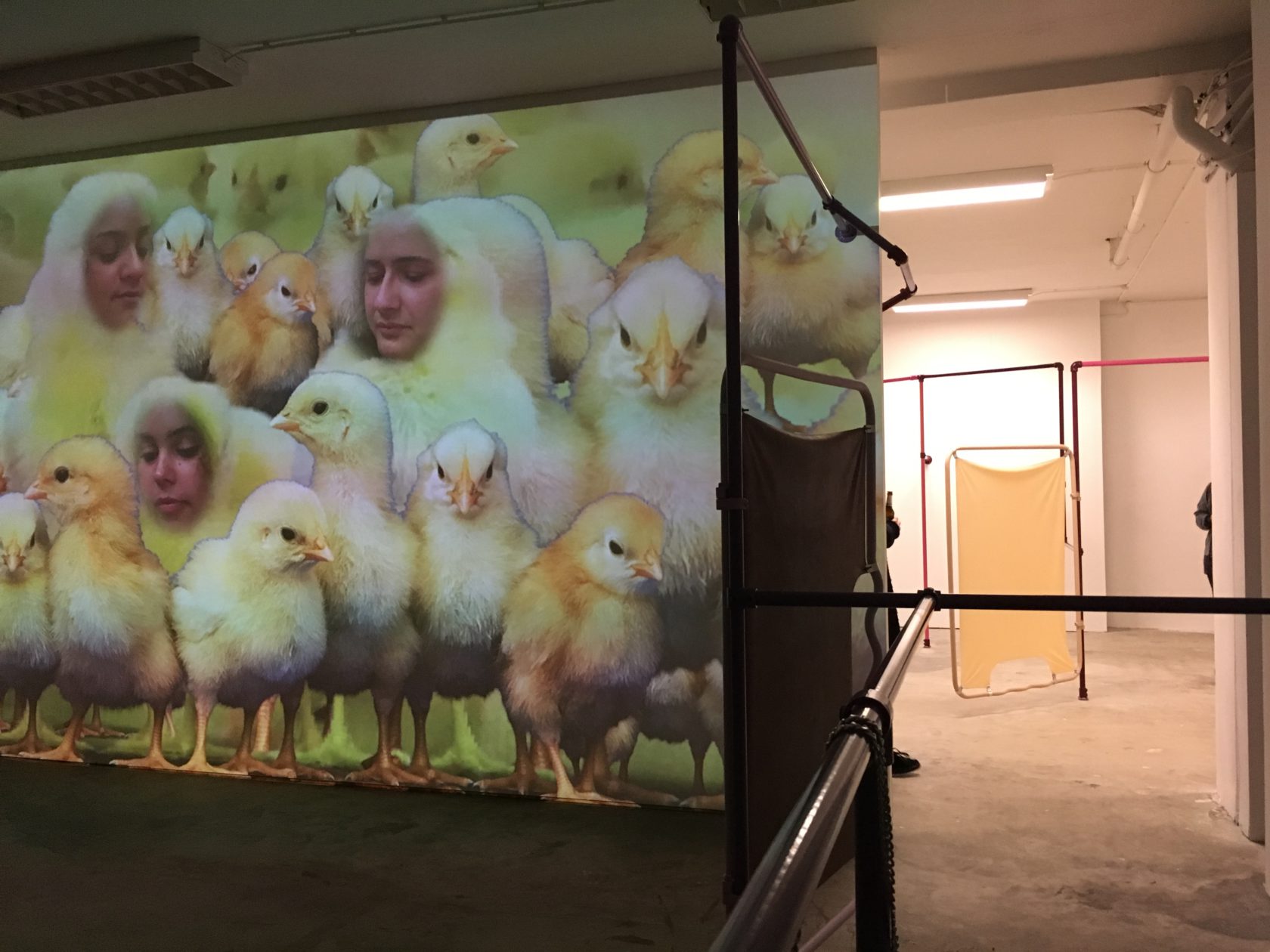 Hoogtij #51 snapshot-verslag