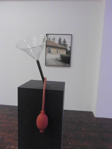 Jan Rosseel: Back Up