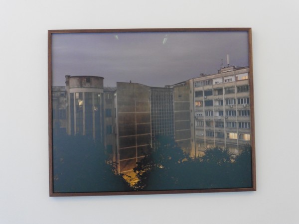 Jan Rosseel: Back Up