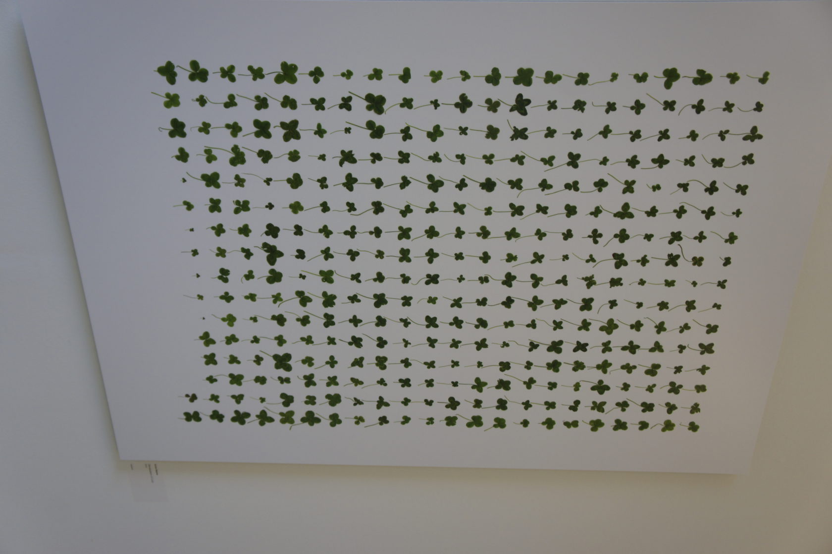 De ‘deskundige’ Volkskrant prijs