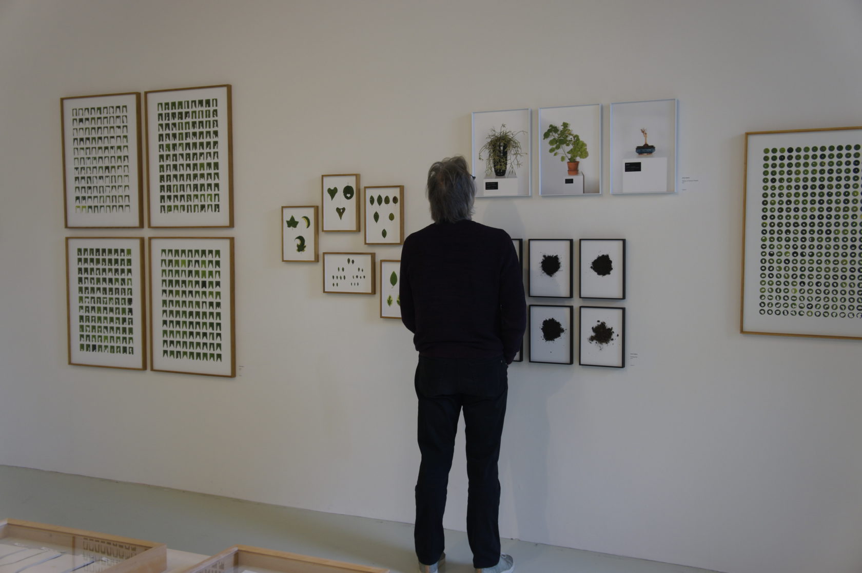 De ‘deskundige’ Volkskrant prijs