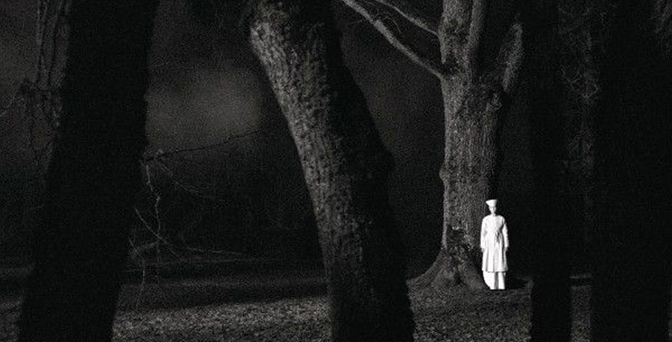 November, all you can see