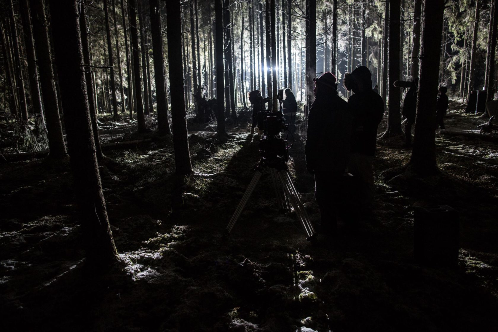 November, all you can see