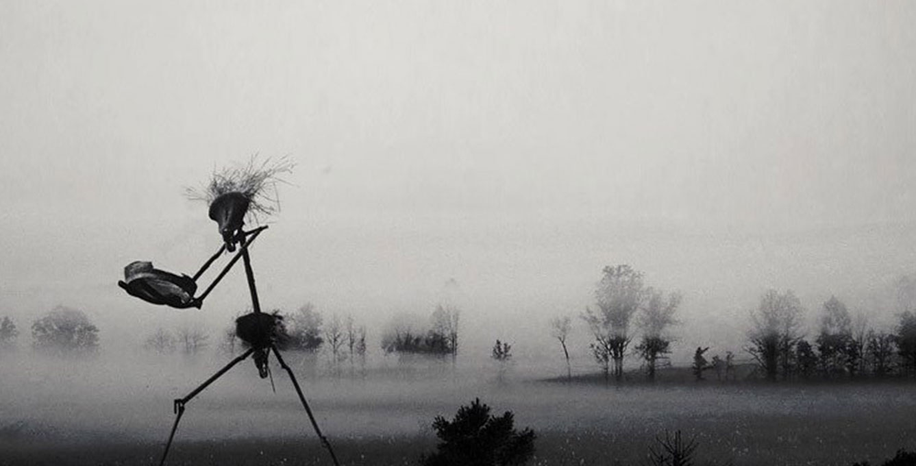 November, all you can see