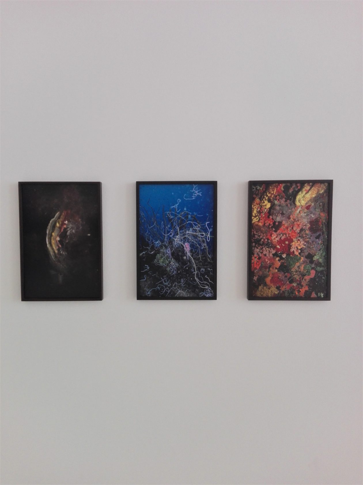 De fascinaties van Elspeth Diederix