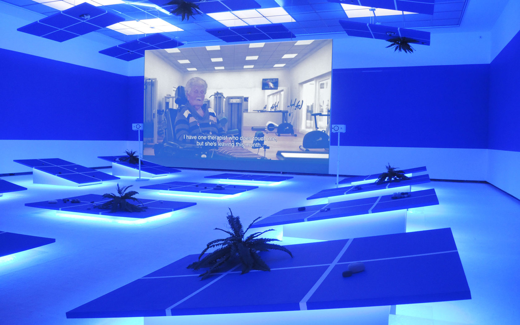 Melanie Bonajo; de dood of de gladiolen