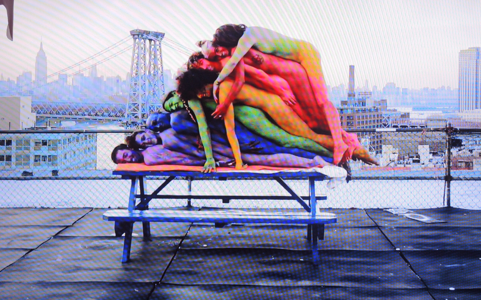 Melanie Bonajo; de dood of de gladiolen