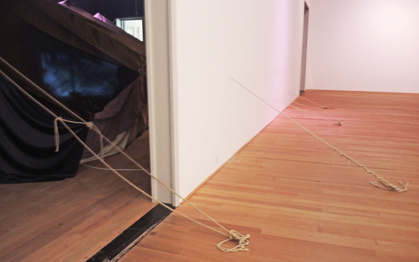 Melanie Bonajo; de dood of de gladiolen