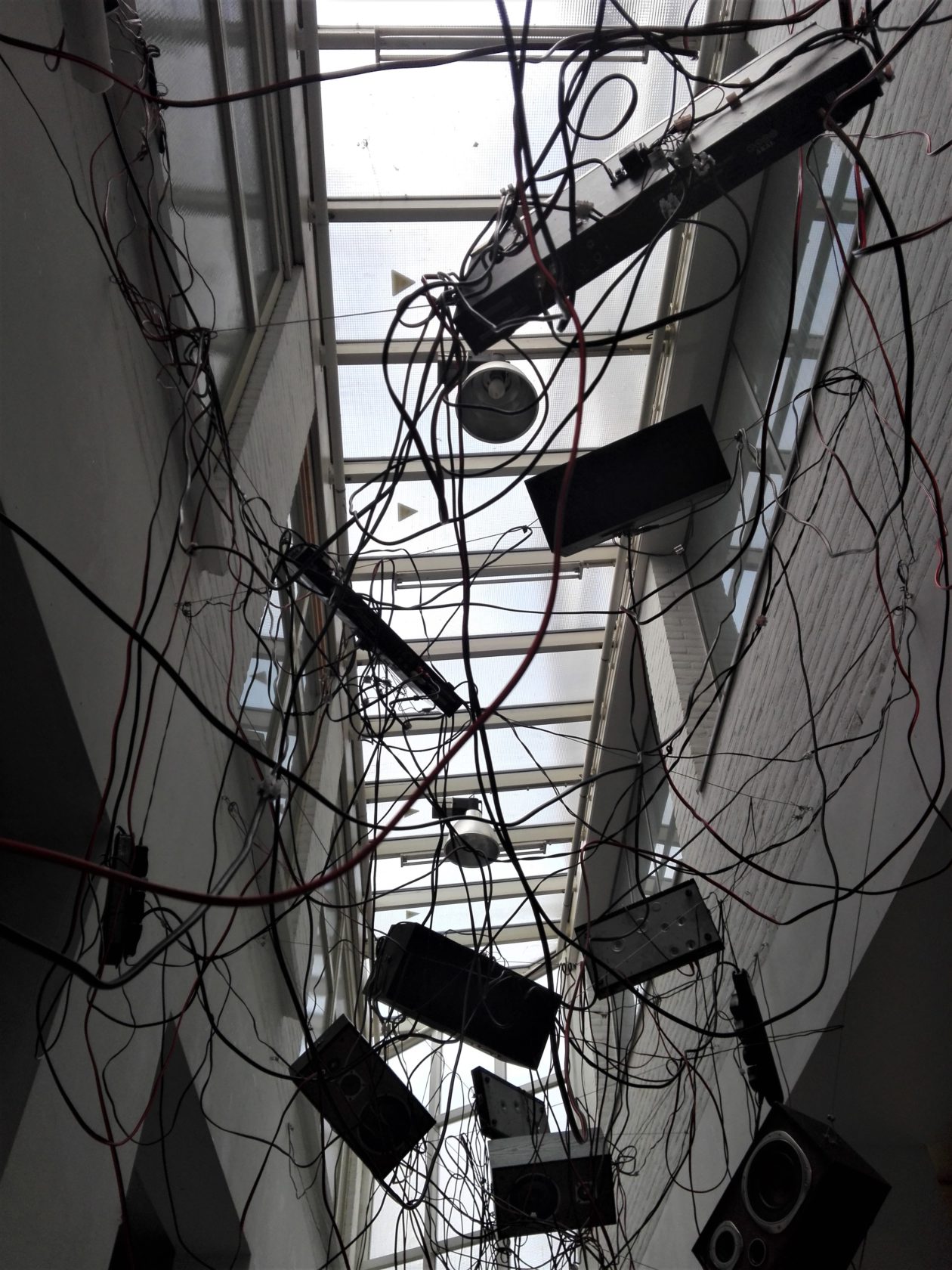 Bubbels, huidcellen en de tweets van Trump: de expositie van TodaysArt