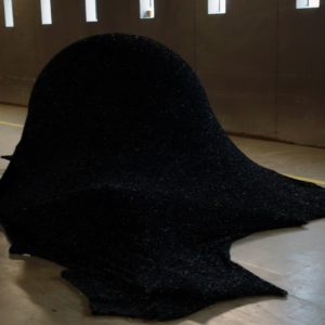 Karin van Dam - Pok 2