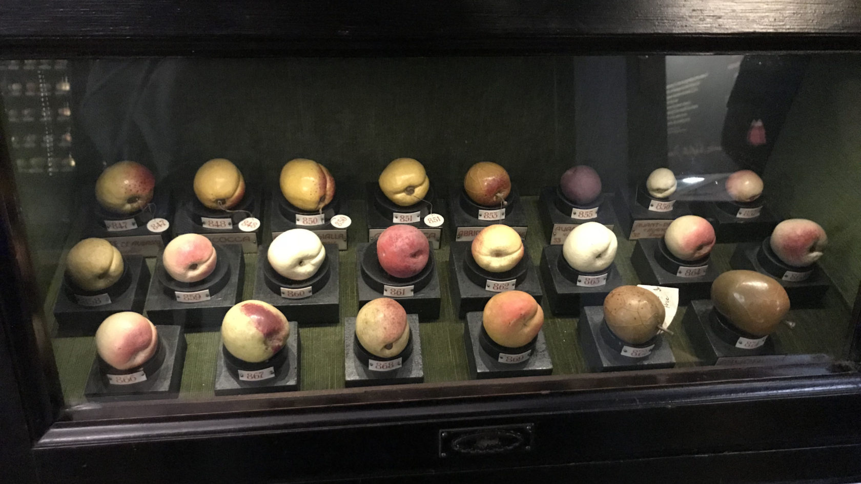 & other things in Turin