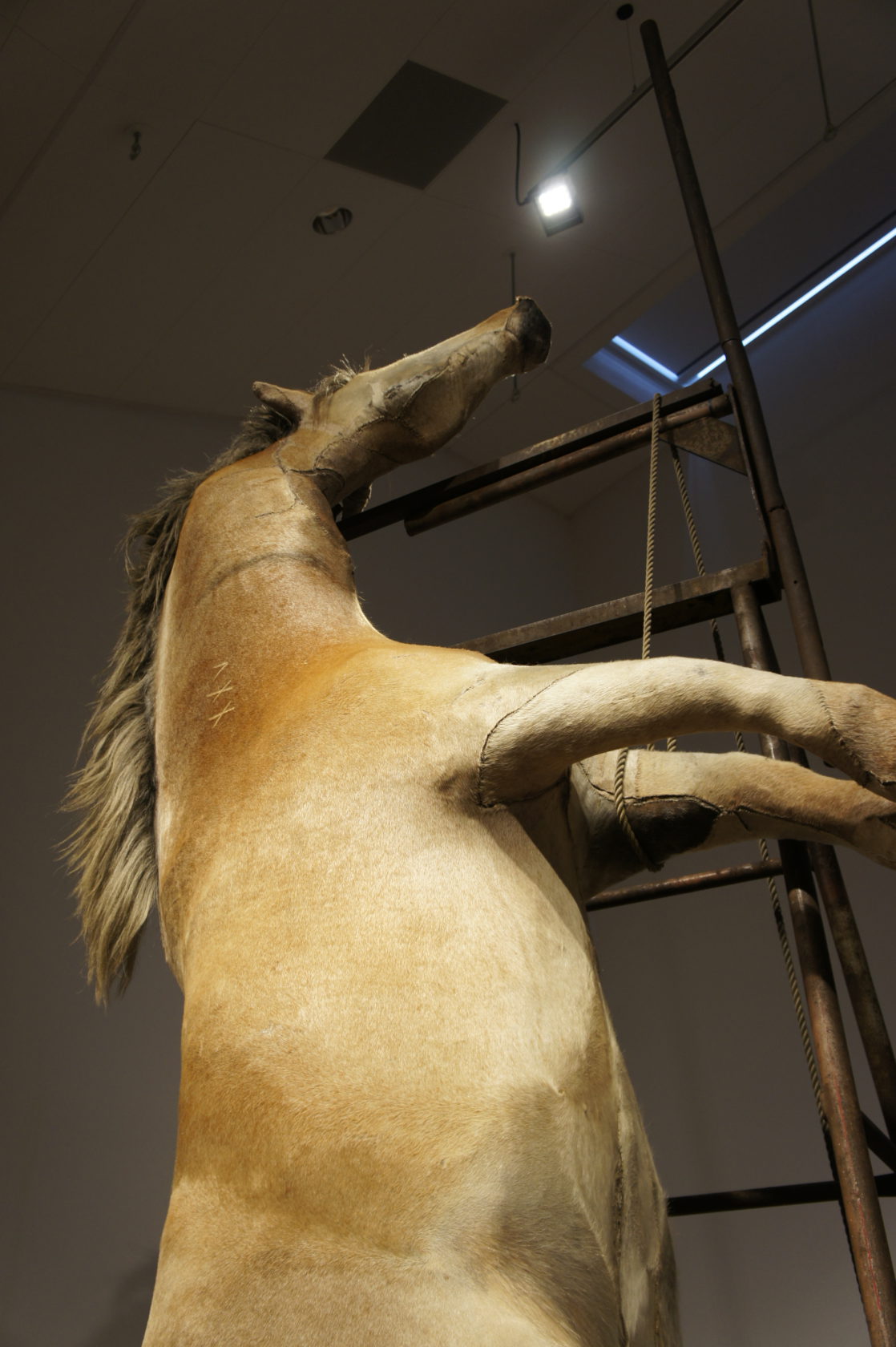 Animistisch assembleren