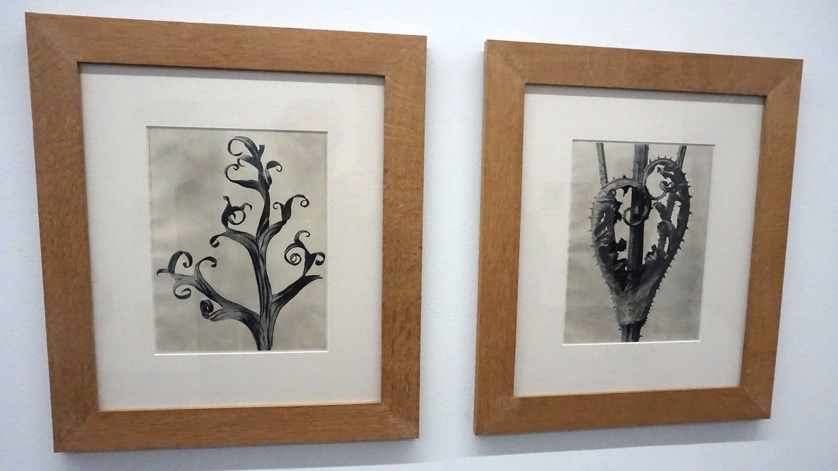 Het probleem van exacte kunst