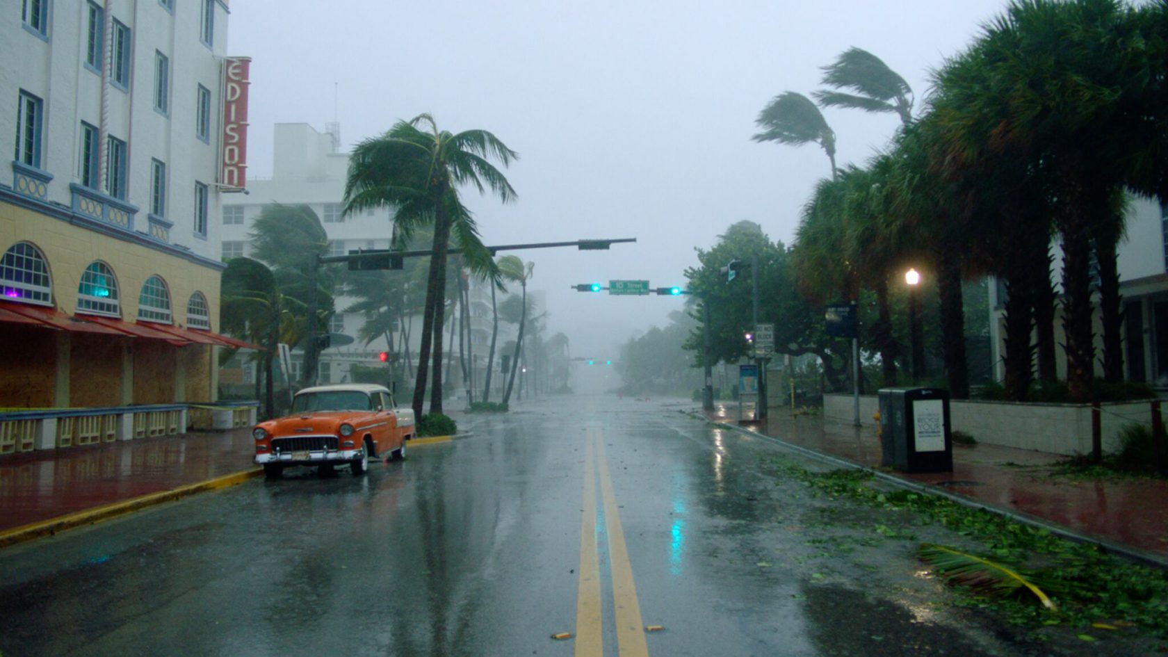 Wat is er aan kunst te zien op de IDFA?