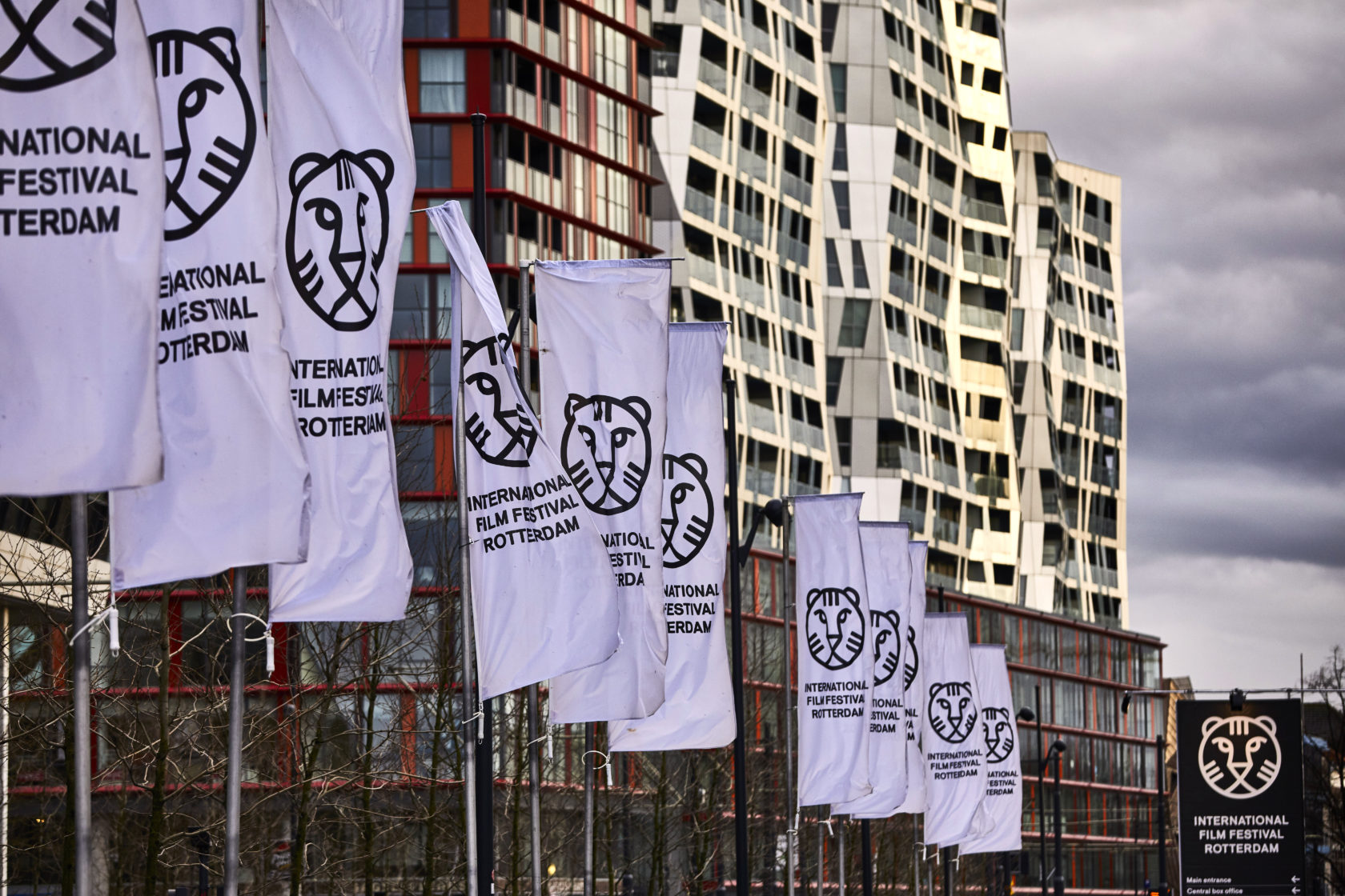 Zes tips voor het IFFR