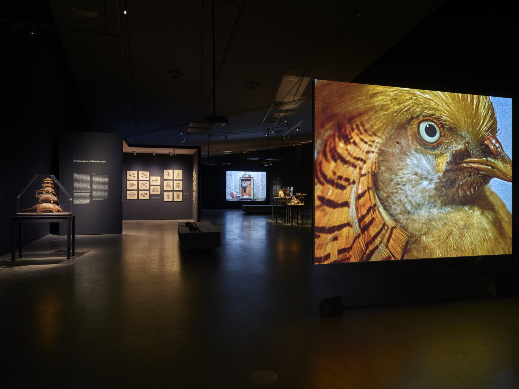 Knippen, plakken en kleien voor gevorderden: Jan Svankmajer