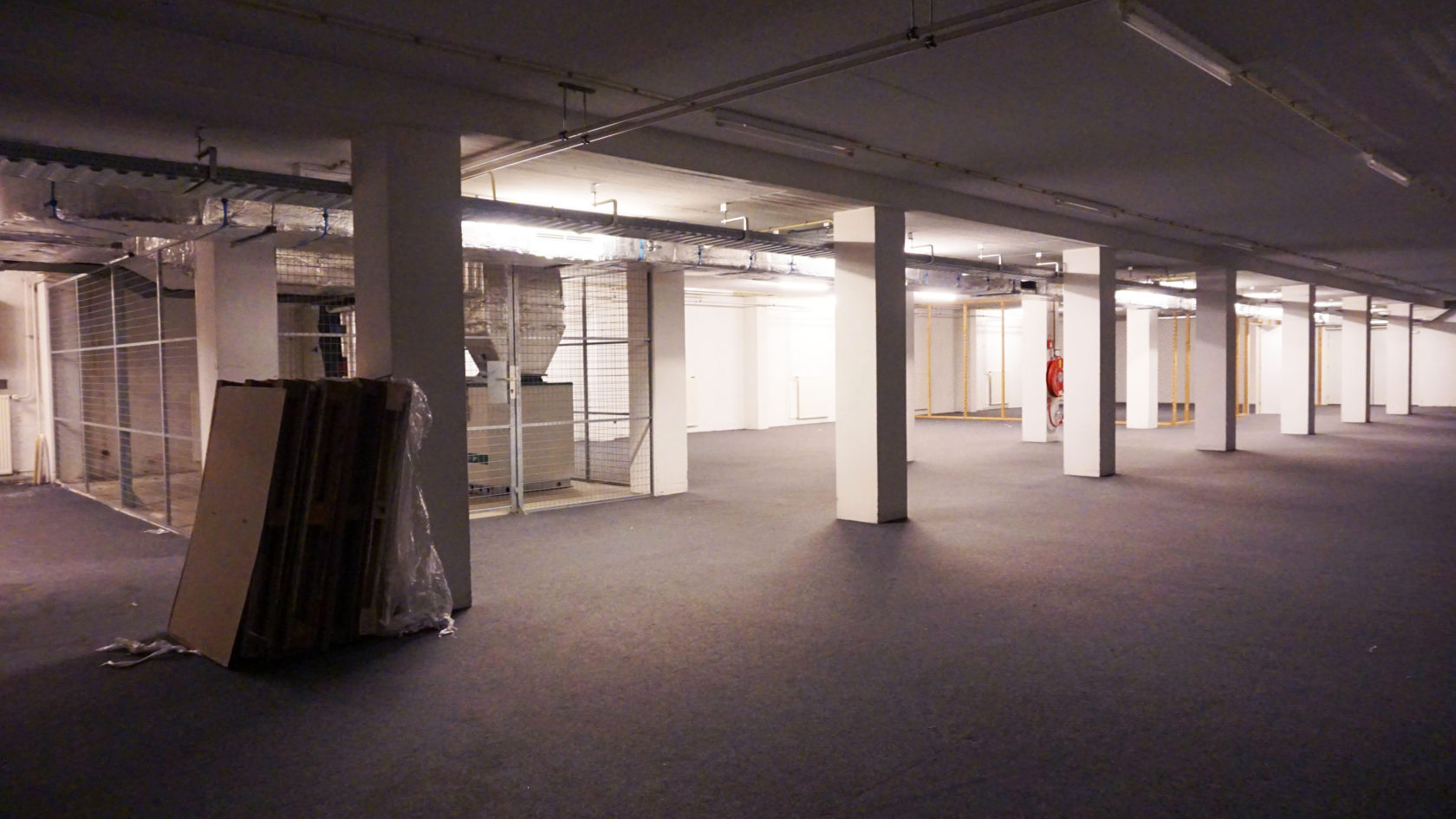 New in town: Susan Bites