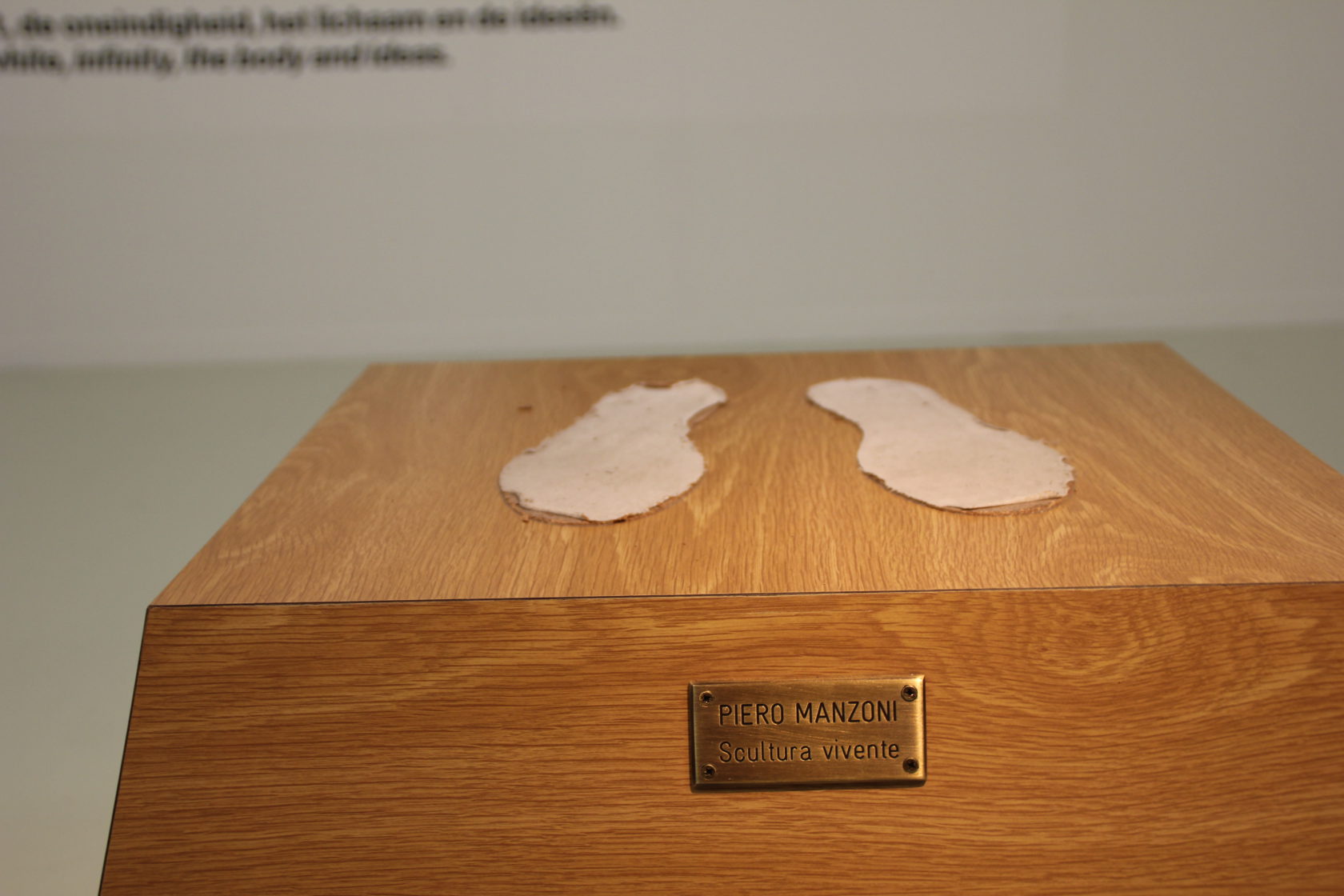 *Over het wit, de oneindigheid, het lichaam en de ideeën.