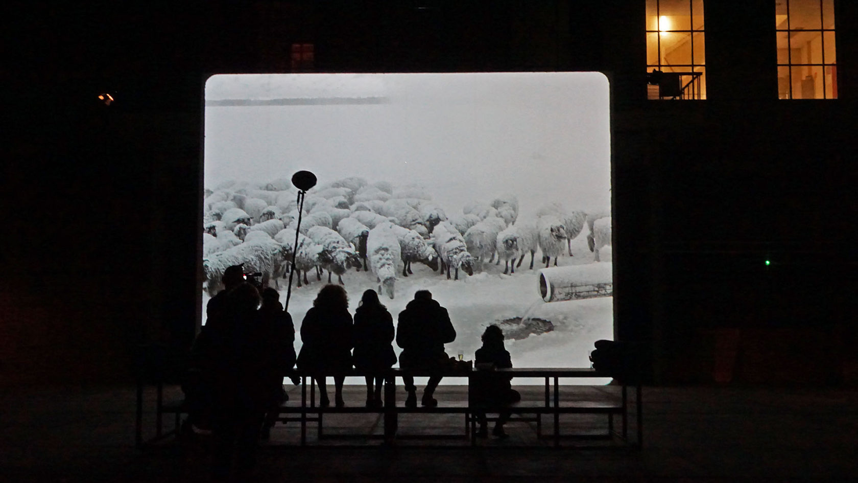 Expeditie Eisinga en de woorden die tekort schieten