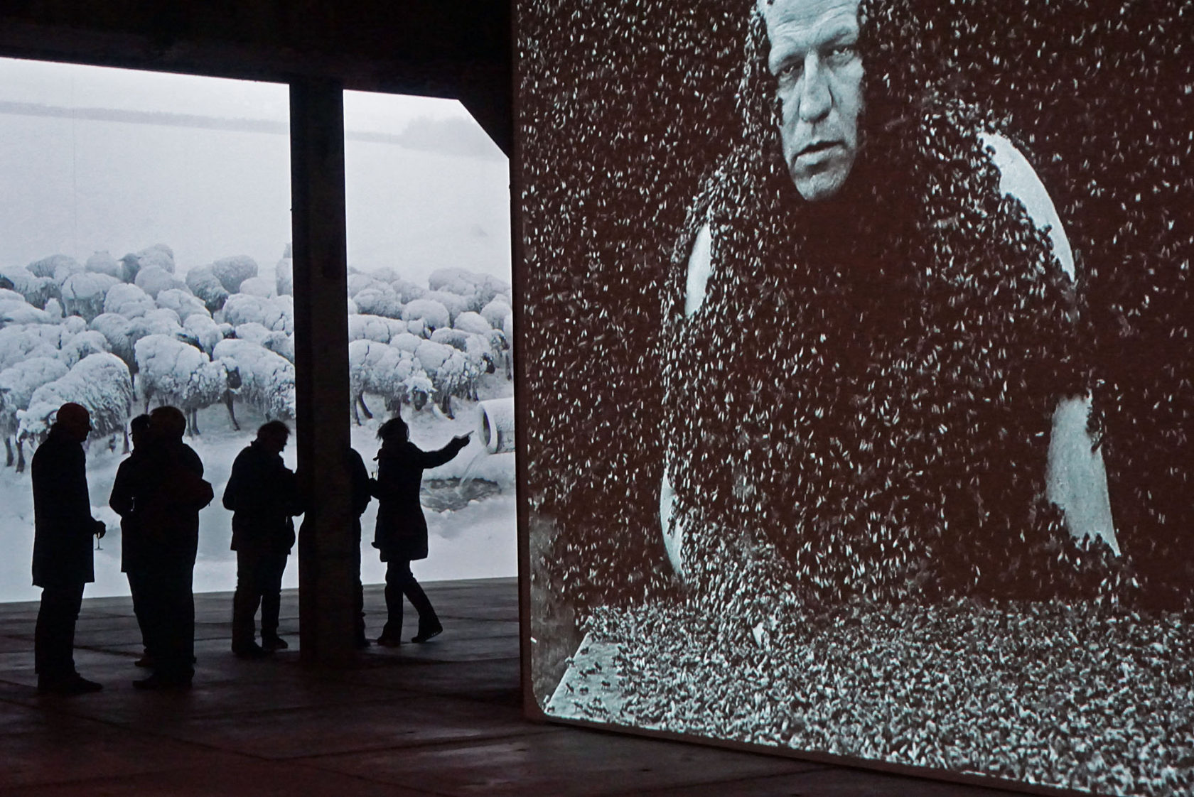 Expeditie Eisinga en de woorden die tekort schieten