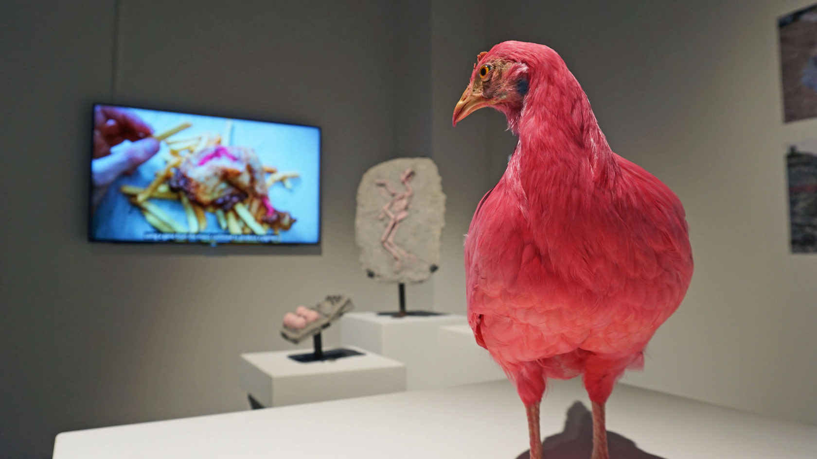 Muterende systemen bij MU in Eindhoven